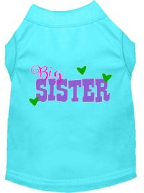 Big Sister Screen Print Dog Shirt Aqua XXXL